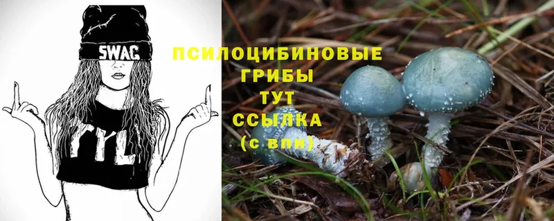 магазин продажи наркотиков  omg как зайти  Галлюциногенные грибы Magic Shrooms  Костерёво 